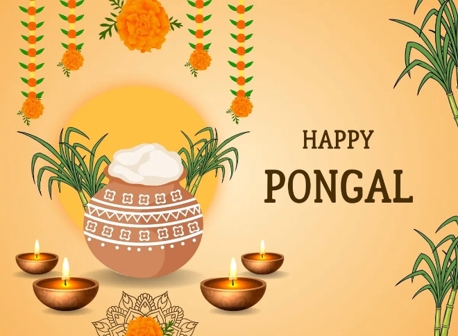 Stories of Pongal that you Cannot Miss